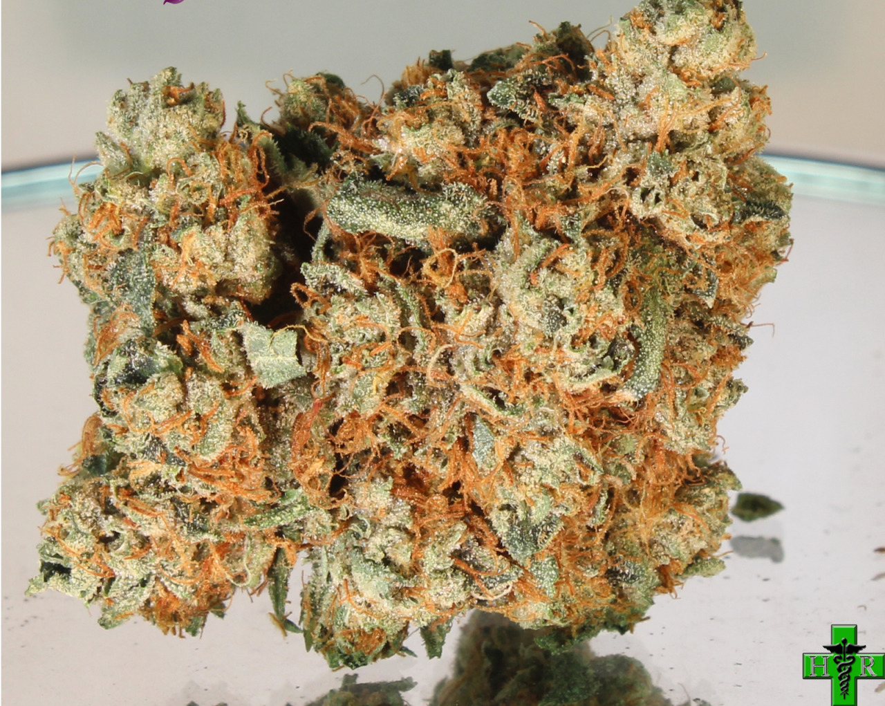 Thanks to this site, you can get your weed strains at the best price