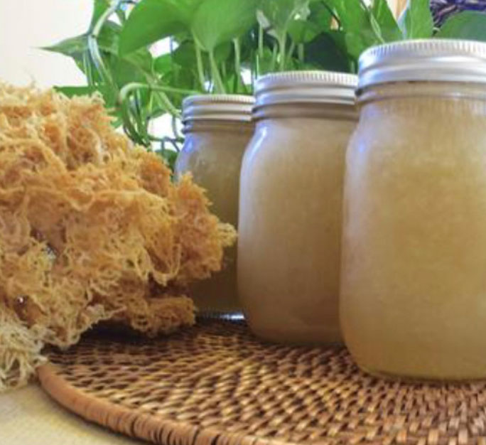 Sea Moss will be the main aspect of the method