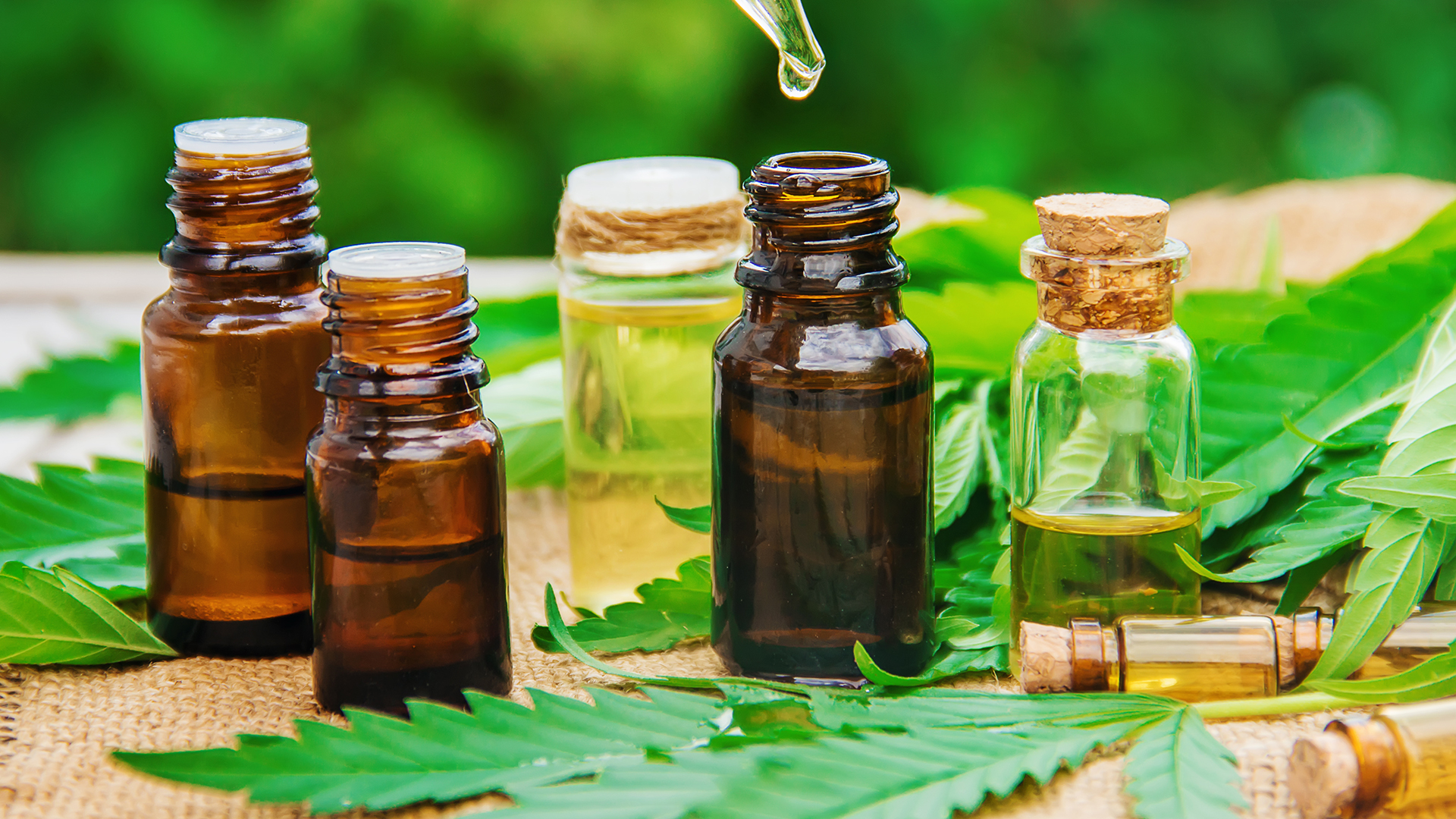 Interesting Facts You Should Know About Cbd