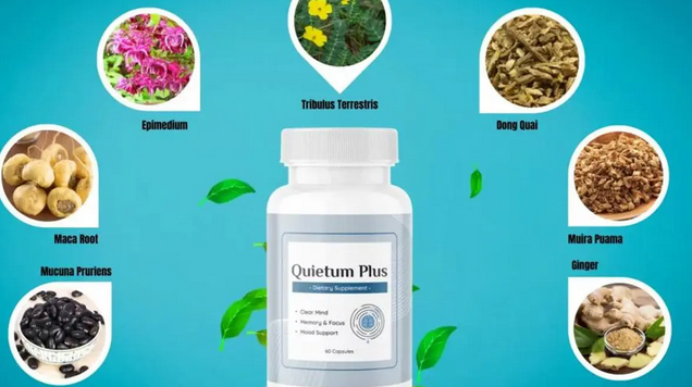 An In-depth Look into What is Really Behind the Hype of Quietum Plus Reviews